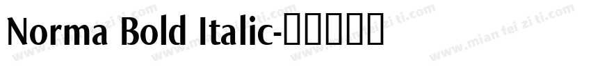 Norma Bold Italic字体转换